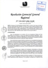Vista preliminar de documento RGGR 210-2025-GRL-GGR