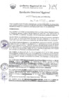 Vista preliminar de documento RDR-0549-2025