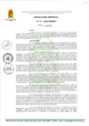Vista preliminar de documento RG 137-2025-GM-MDT
