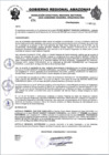 Vista preliminar de documento RESOLUCION N°454