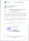 Vista preliminar de documento oficio multiple 309