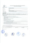 Vista preliminar de documento PERFIL ANALISTA DE SISTEMAS E INFORMATICA