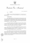 Vista preliminar de documento RVM N°048-2025-MINEM-VMM