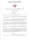 Vista preliminar de documento R.D. 687 - CONTRA DOC - FERNANDEZ ANAYA ROSALIA LUCINDA