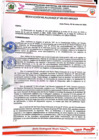 Vista preliminar de documento 2