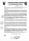 Vista preliminar de documento RESOLUCION N°462