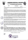 Vista preliminar de documento RESOLUCION N°463