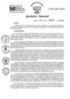 Vista preliminar de documento RD 077-2025-INO-D