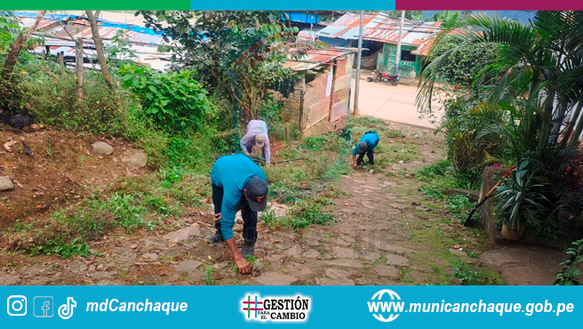 Limpieza ambiental