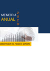 Vista preliminar de documento MEMORIA ANUAL AFG 2020