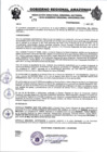 Vista preliminar de documento RESOLUCION N°470