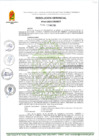 Vista preliminar de documento RG 140-2025-GM-MDT