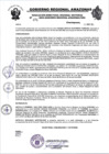 Vista preliminar de documento RESOLUCION N°474