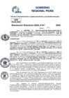 Vista preliminar de documento Resolucion Directoral N° 003244-2025