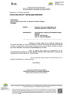 Vista preliminar de documento OFICIO MULTIPLE-000162-2025-DGP