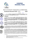 Vista preliminar de documento Resolucion Directoral N° 003248-2025