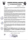 Vista preliminar de documento RESOLUCION N°477
