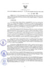 Vista preliminar de documento GRDE.018