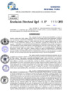 Vista preliminar de documento Resolucion Directoral N° 003253-2025