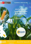 Vista preliminar de documento Boletín de Riesgo Agroclimático para el cultivo de maíz - Marzo 2025