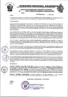 Vista preliminar de documento RESOLUCION N°491