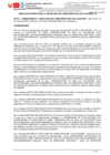 Vista preliminar de documento RESOLUCION DIRECTORAL N° 000300-2025