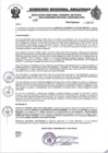 Vista preliminar de documento RESOLUCION N°493