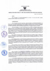 Vista preliminar de documento 0499 - 2025