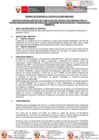 Vista preliminar de documento TDR