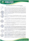 Vista preliminar de documento Resolucion-Gerencia-Municipal-295-2025-GM-MDQ-LC