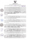 Vista preliminar de documento RDR N°385-2025-28-05-2025