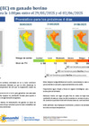 Vista preliminar de documento boletinITH290525