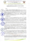Vista preliminar de documento R.A N° 133-2025
