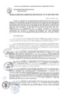 Vista preliminar de documento RESOLUCION DE GERENCIA MUNICIPAL Nº 217-2025-MPS-GM