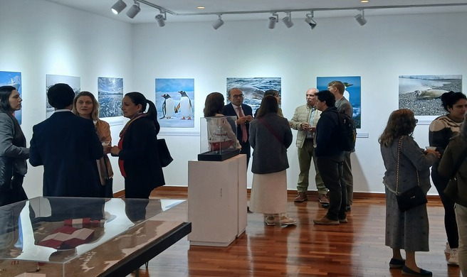 exposición