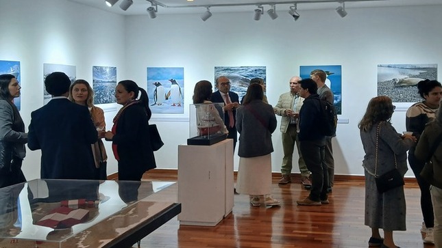 exposición
