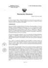 Vista preliminar de documento R.D. 0597-2025-DMID-DIRIS- LE-MINSA