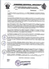 Vista preliminar de documento RESOLUCION N°521