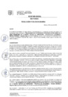 Vista preliminar de documento RES Nª 303-2025-R-UNAMBA