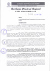 Vista preliminar de documento RDR 193-2025