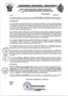 Vista preliminar de documento RESOLUCION N°522