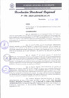 Vista preliminar de documento RDR 194-2025