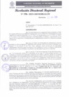Vista preliminar de documento RDR 196-2025