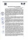 Vista preliminar de documento R.A N°038-2025-MDSMP