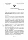Vista preliminar de documento R.D. 0607-2025-DMID-DIRIS- LE-MINSA