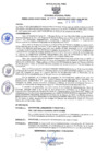 Vista preliminar de documento RESOLUCIÓN DIRECTORAL N° 0393-2025/GOB.REG-DRSP-HNSLMP-DG.