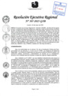 Vista preliminar de documento RER 307-2025-GOB