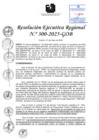 Vista preliminar de documento RER 300-2025-GOB