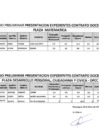 Vista preliminar de documento RESULTADOS PRELIMINARES PLAZA MATEMATICA Y DPCC