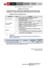 Vista preliminar de documento CAS APTOS Y NO APTOS CAS Nº 015